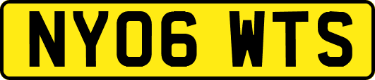 NY06WTS