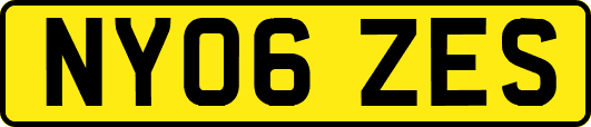 NY06ZES