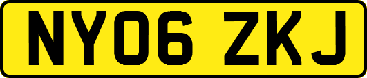 NY06ZKJ