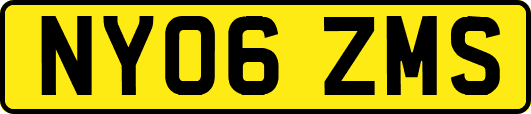 NY06ZMS