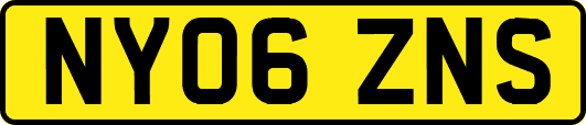 NY06ZNS