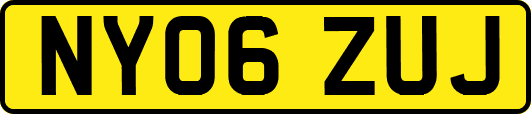 NY06ZUJ