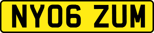 NY06ZUM