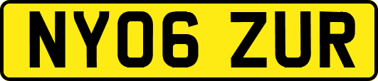 NY06ZUR