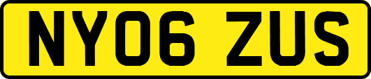 NY06ZUS
