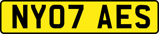 NY07AES