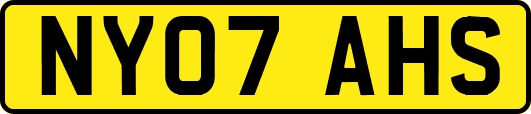 NY07AHS