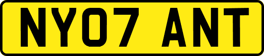 NY07ANT