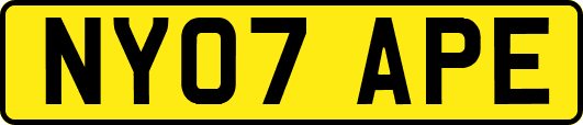 NY07APE