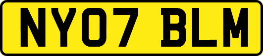 NY07BLM