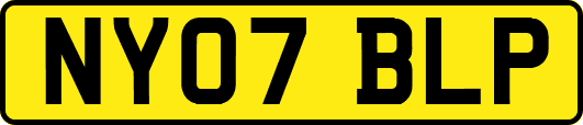 NY07BLP