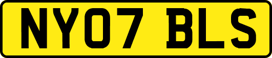 NY07BLS