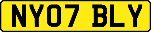 NY07BLY