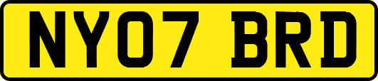 NY07BRD