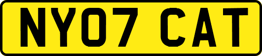 NY07CAT