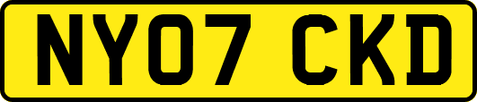 NY07CKD