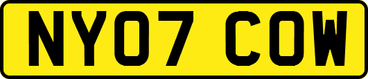 NY07COW