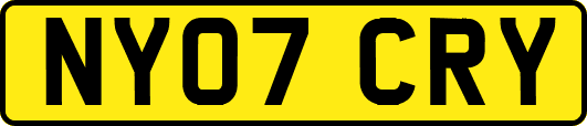NY07CRY