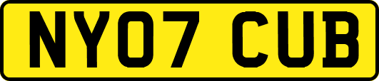 NY07CUB