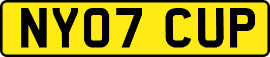 NY07CUP