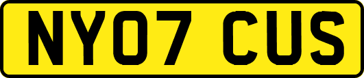 NY07CUS