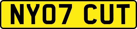 NY07CUT
