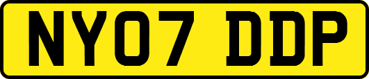 NY07DDP