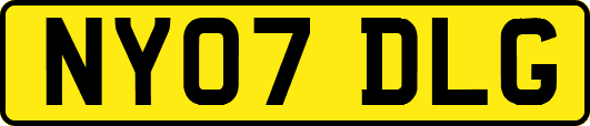 NY07DLG