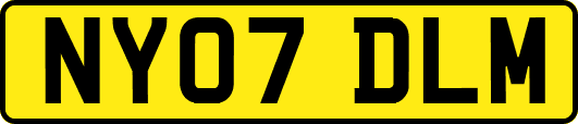 NY07DLM