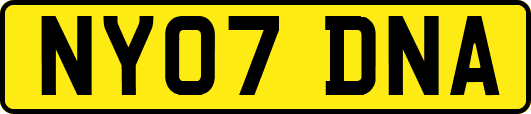 NY07DNA