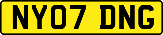 NY07DNG