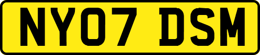NY07DSM