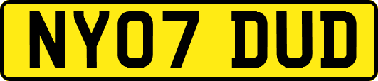 NY07DUD