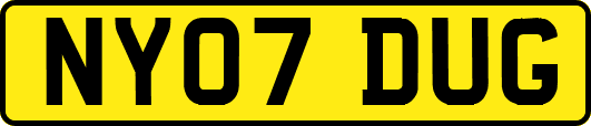 NY07DUG