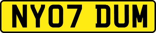 NY07DUM