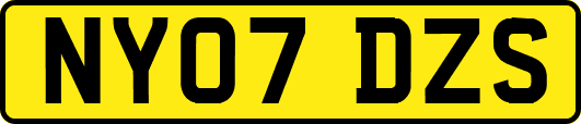 NY07DZS