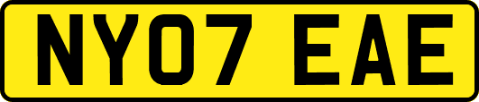 NY07EAE