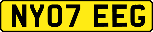NY07EEG