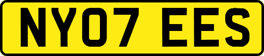 NY07EES