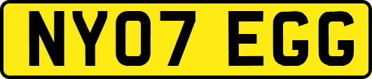 NY07EGG