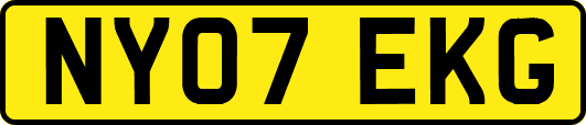 NY07EKG
