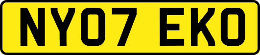 NY07EKO