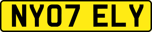 NY07ELY
