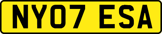 NY07ESA