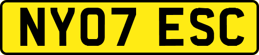 NY07ESC