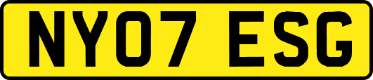 NY07ESG