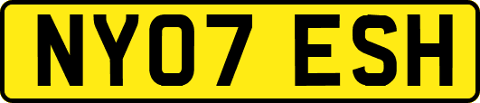 NY07ESH