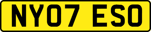NY07ESO