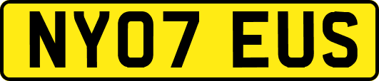 NY07EUS