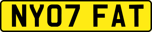 NY07FAT